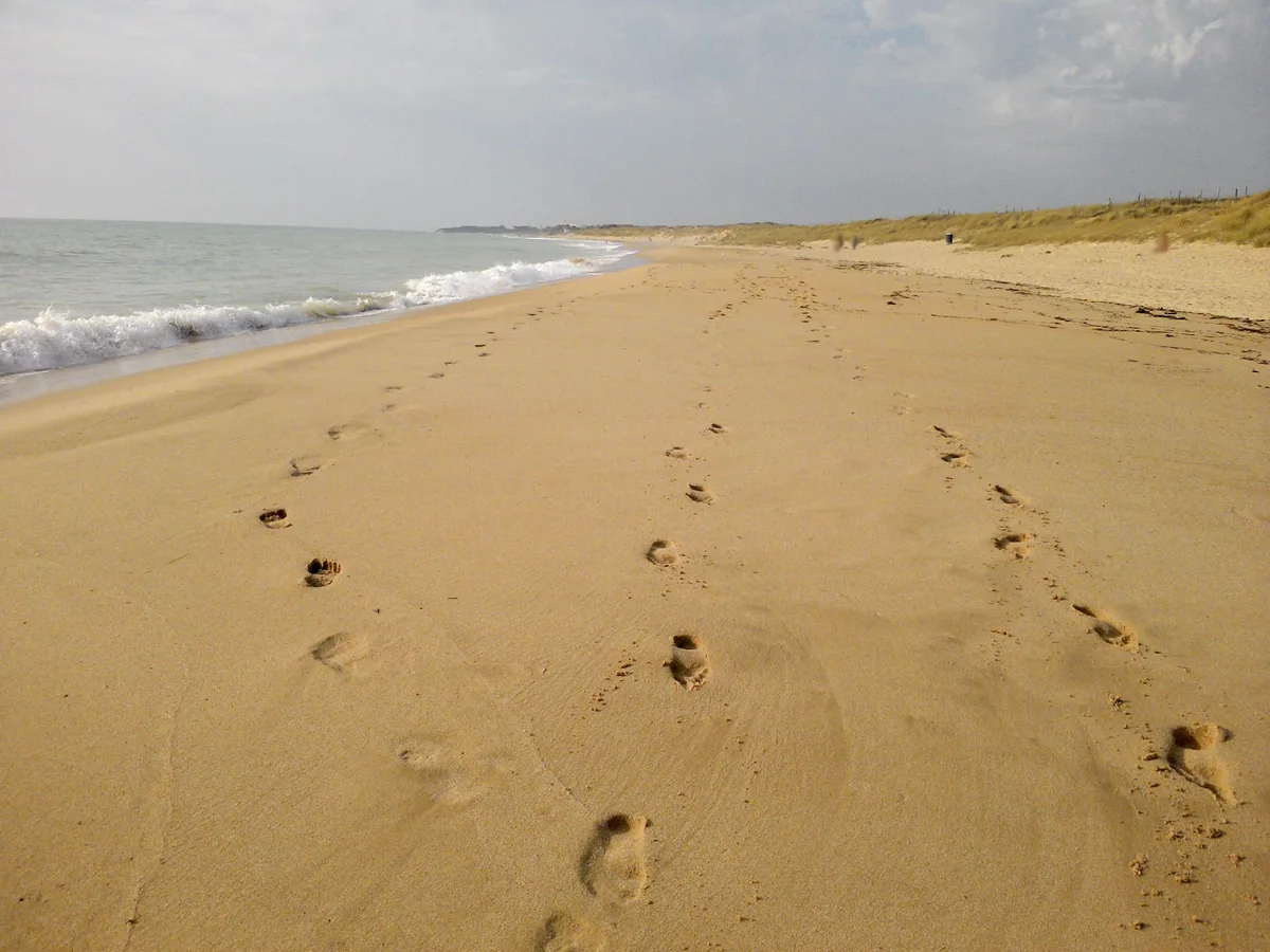 Plage des Huttes, Saint-Denis-d'Oléron, Nouvelle-Aquitaine, France — 5