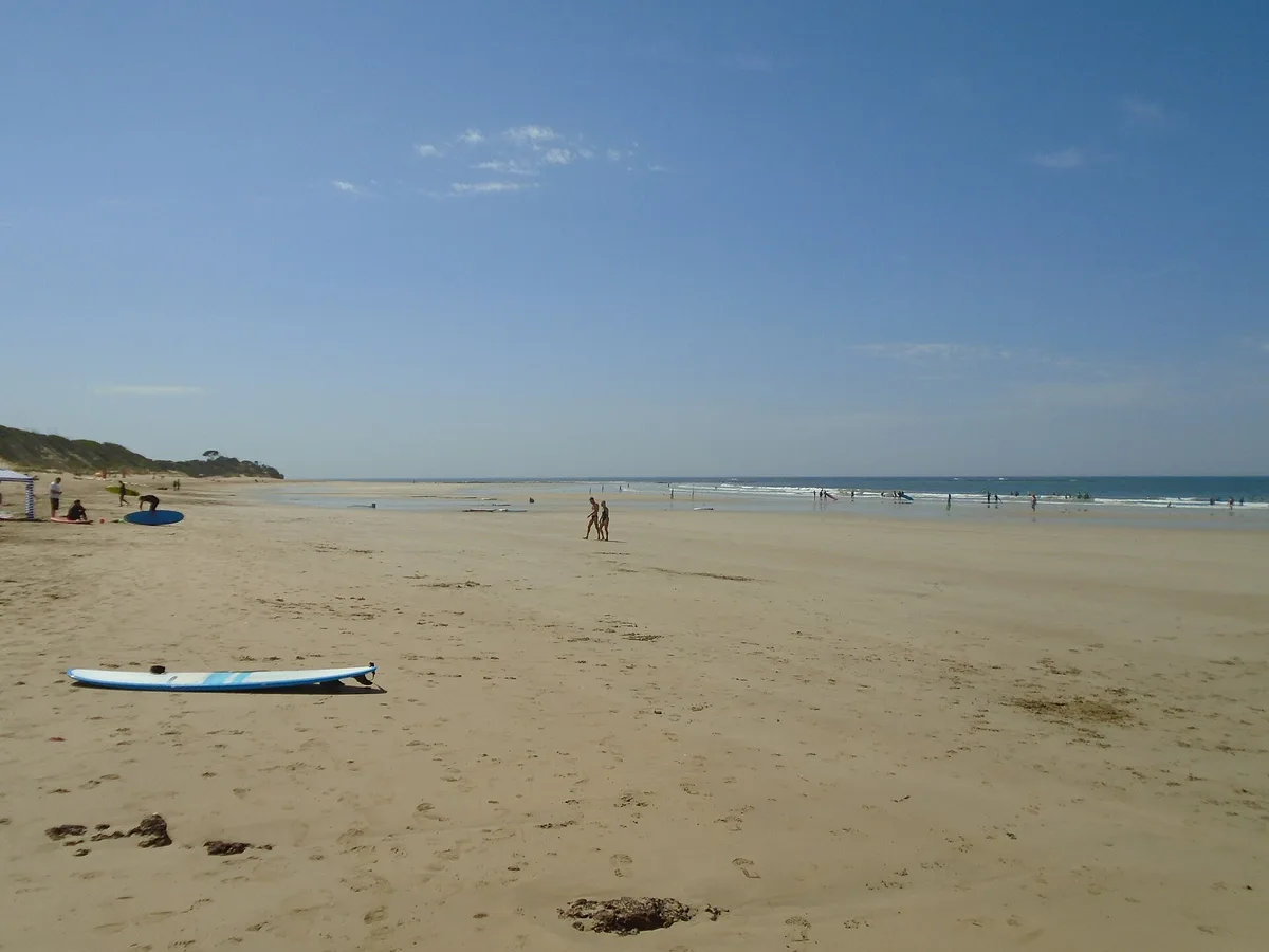 Plage d'Anglesea, Anglesea, Great Ocean Road, Australie — 6