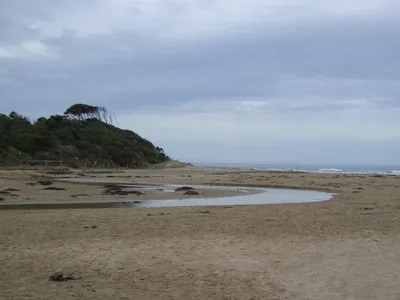 Plage d'Anglesea, Anglesea, Great Ocean Road, Australie — 3