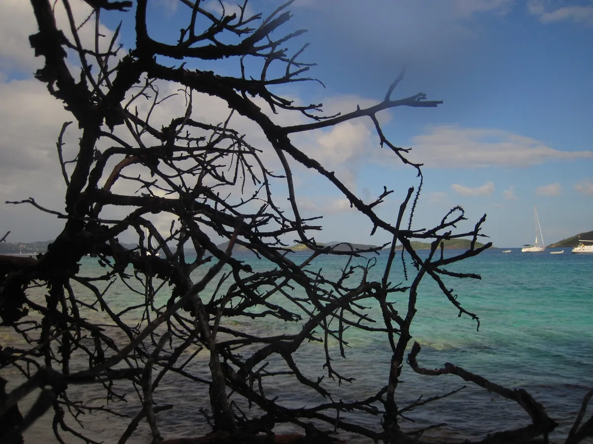 Caneel Bay Beach, Saint John, Virgin Islands, United States Virgin Islands — 4