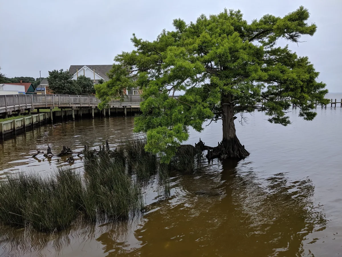 Duck Soundside Beach, Town of Duck, US East Coast, United States — 2