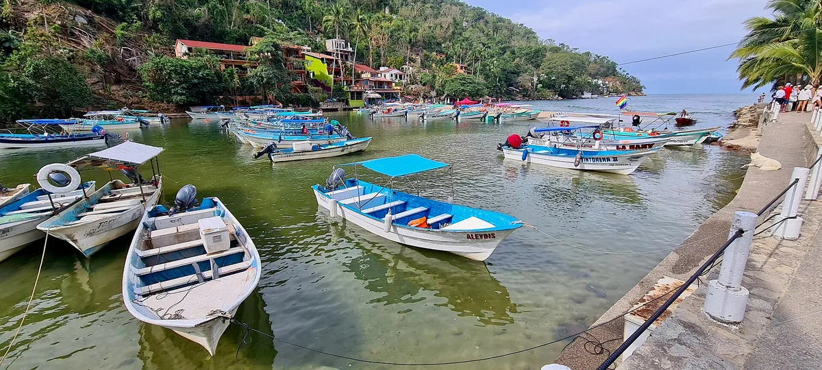 Plage de Boca de Tomatlán, Puerto Vallarta, Mexican Pacific, Mexique — 5