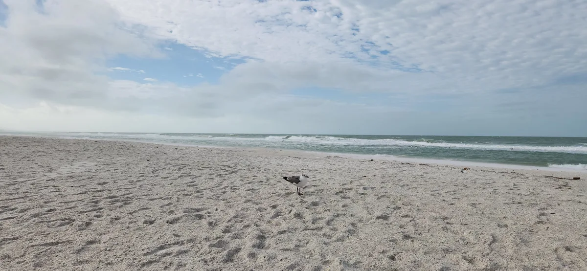 Holmes Beach (Manatee Public Beach), Holmes Beach, Florida Gulf, United States — 5