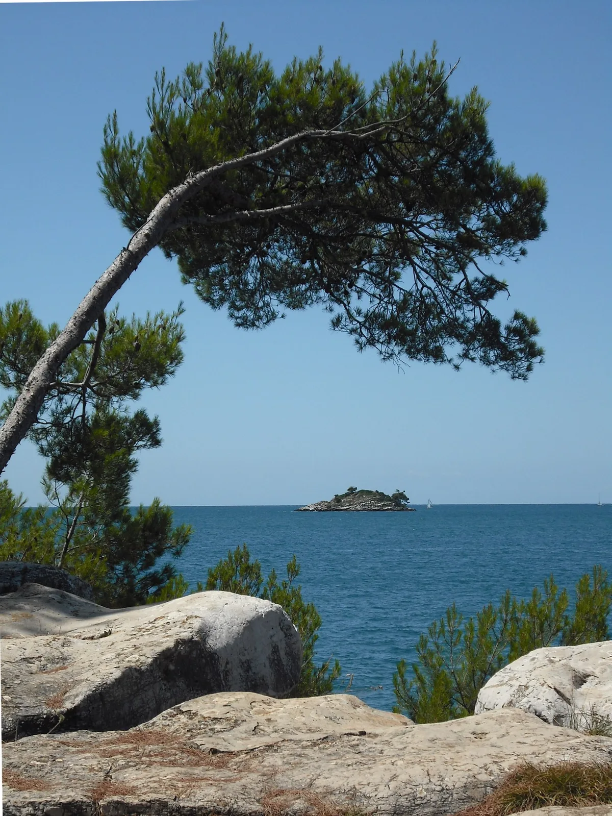 Plage de Zlatni rt, Rovinj, Istria, Croatie — 5