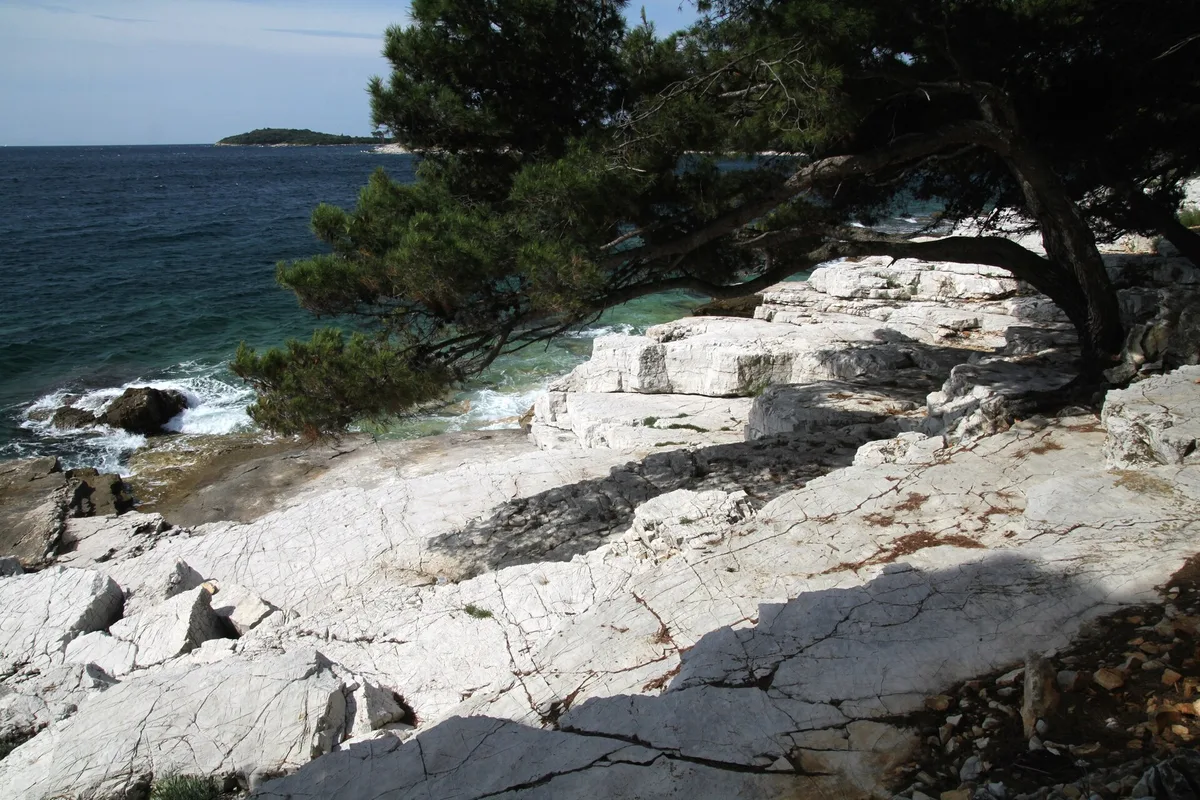 Plage de Zlatni rt, Rovinj, Istria, Croatie
