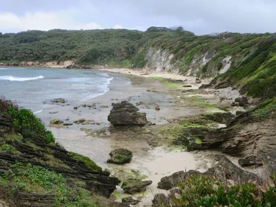 Middle Beach, Lord Howe Island, Australian Pacific Islands, Australie