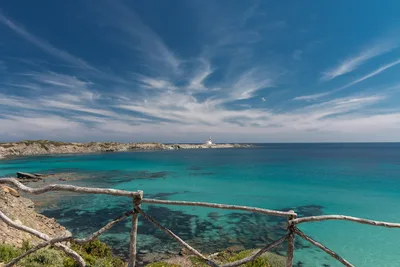 Plage d'en Tortuga
