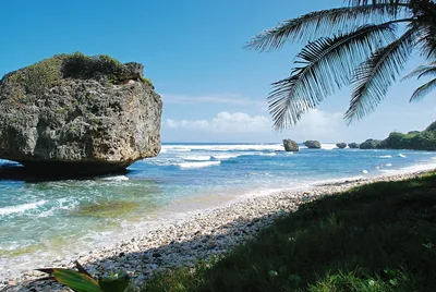 Bathsheba Beach