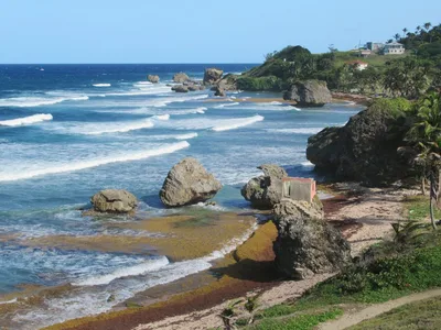 Bathsheba Beach, Saint Joseph, Lesser Antilles, Barbade — 2
