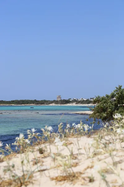 Plage de Torre Colimena, Manduria, Puglia, Italie — 5