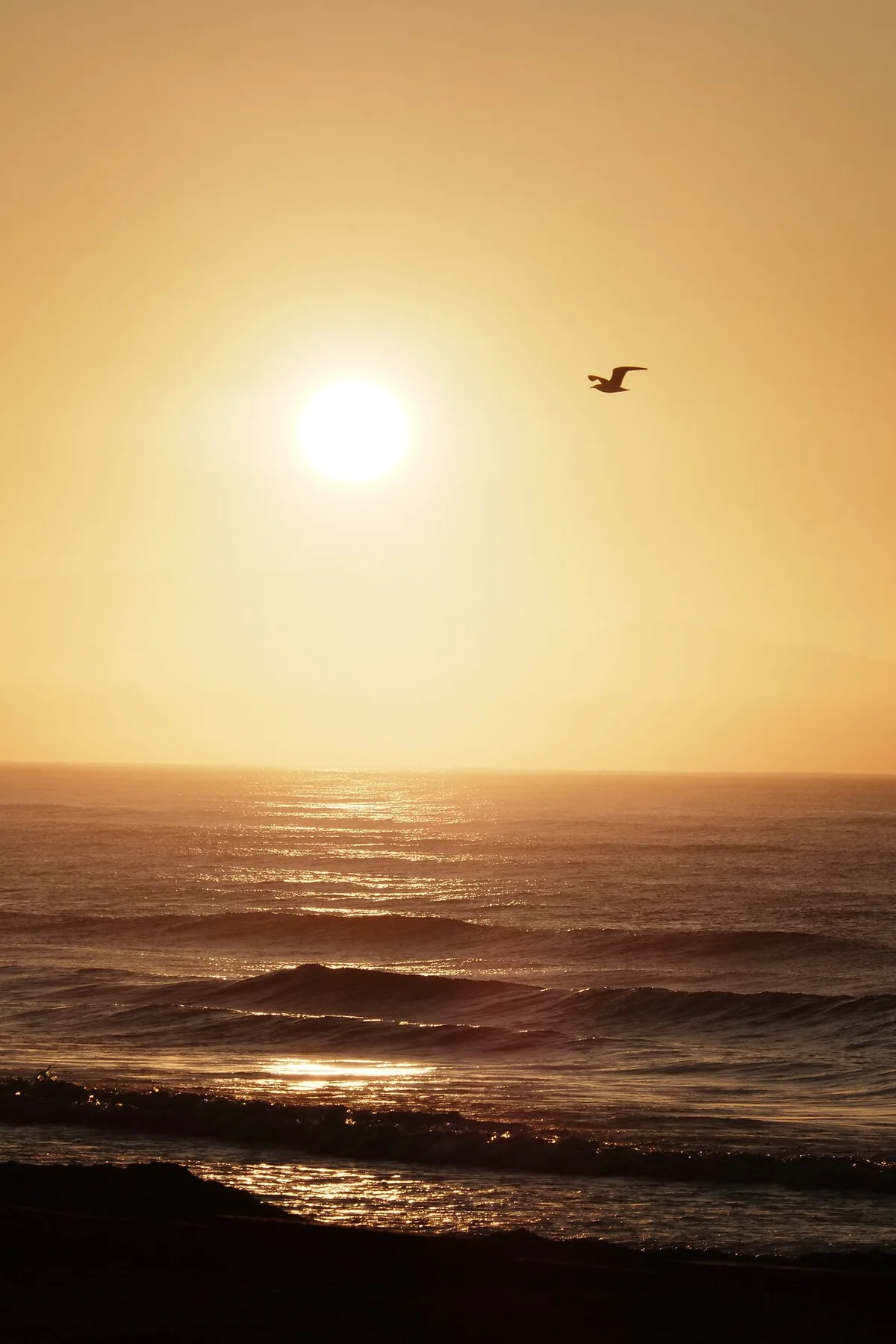 Plage de Muizenberg, City of Cape Town, Western Cape, Afrique du Sud — 3