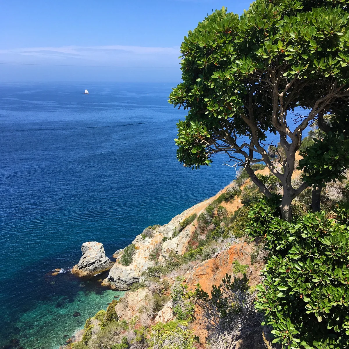 Plage de Cherry Cove, Two Harbors, California Islands, États-Unis — 2
