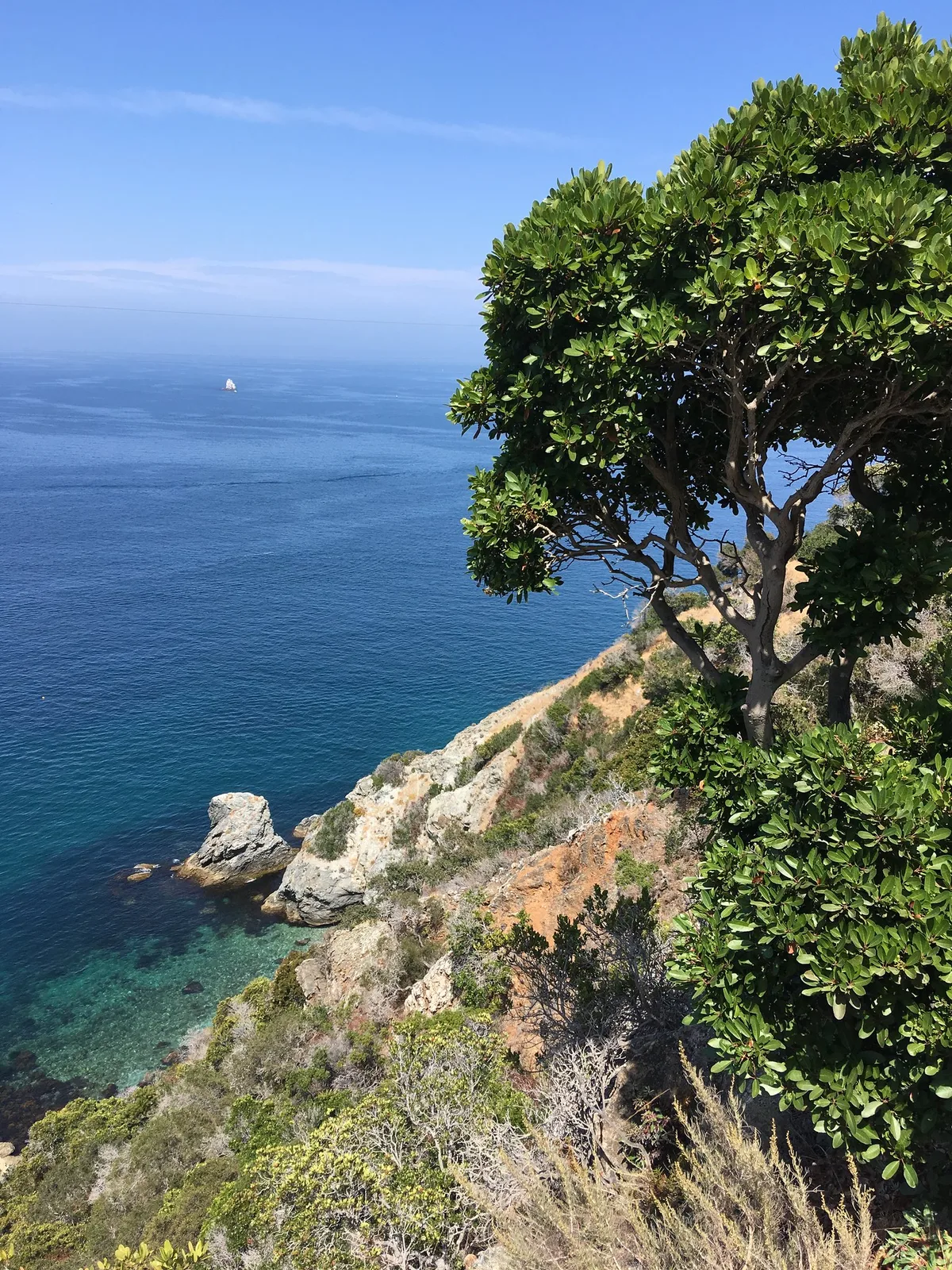 Plage de Cherry Cove, Two Harbors, California Islands, États-Unis — 3
