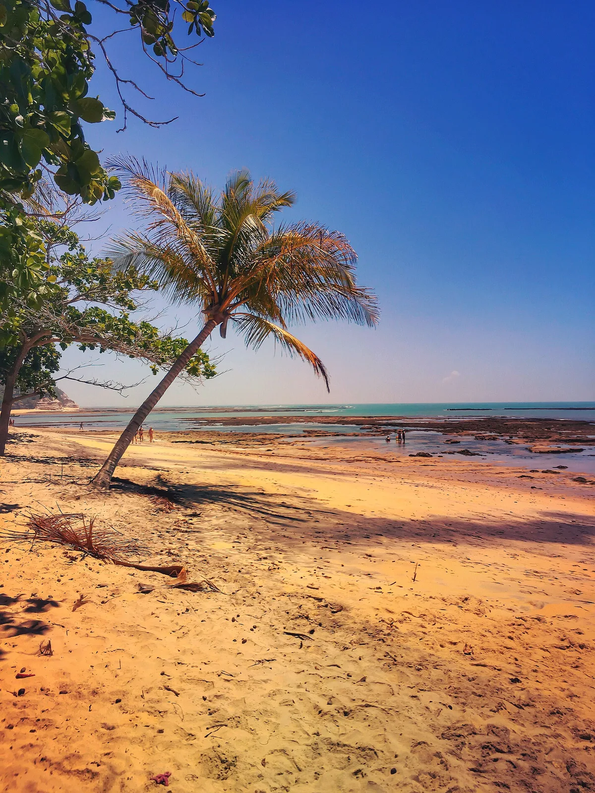 Plage de Curuípe, Prado, Brazilian Atlantic, Brésil