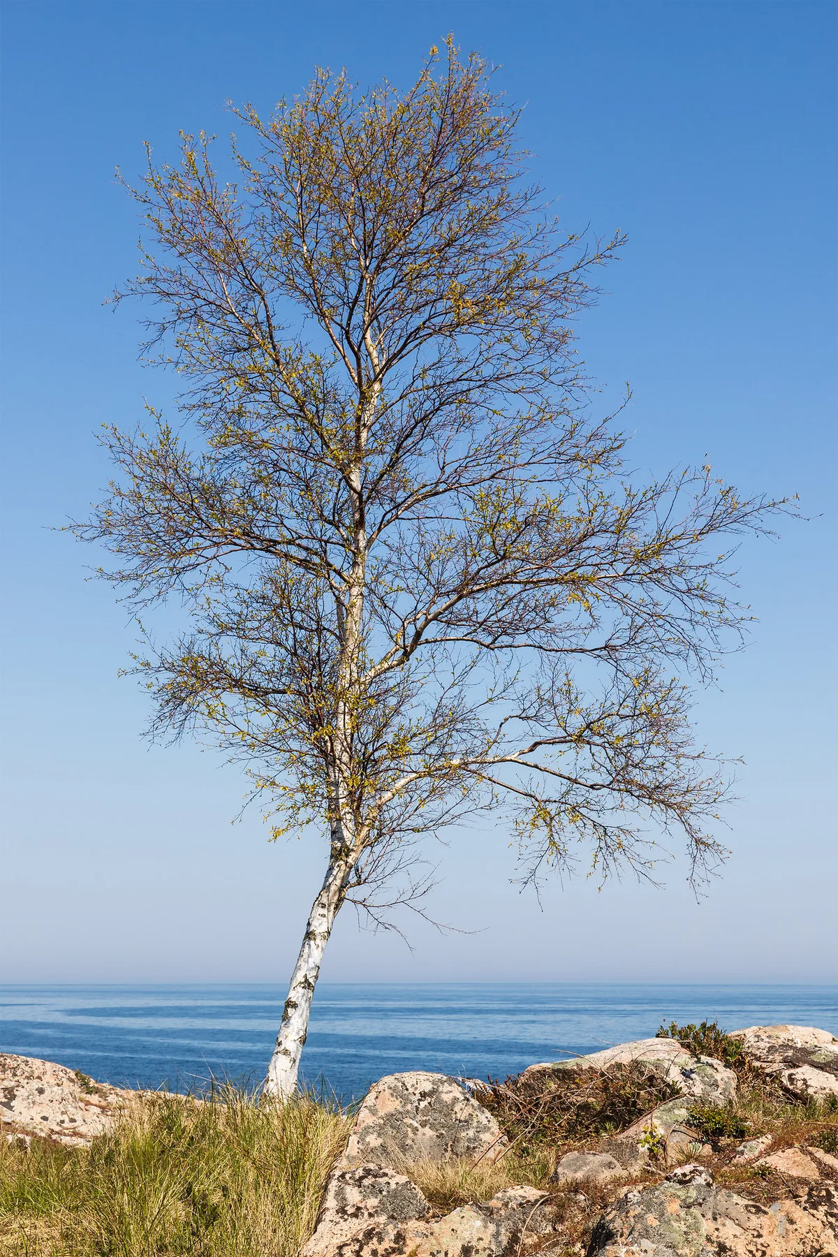 Gudhjem Beach, Bornholm, Baltic Sea, Denmark — 3