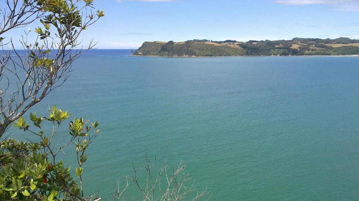 Spiaggia di Flaxmill Bay, Cooks Beach, Waikato, Nuova Zelanda — 5