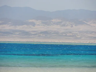Wadi El Gemal-Strand