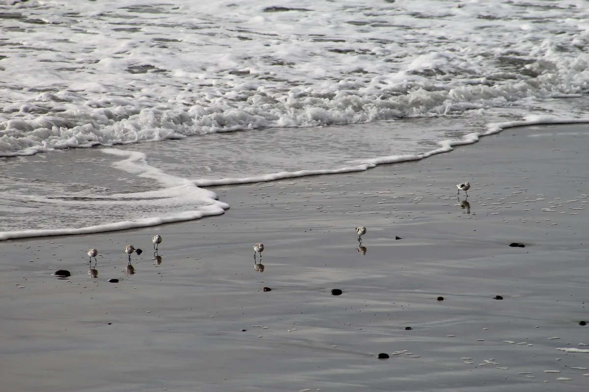 Tide Beach Park, Solana Beach, California Coast, United States — 5