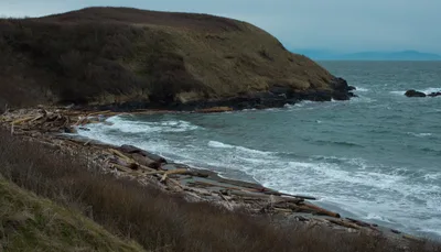 Grandma's Cove