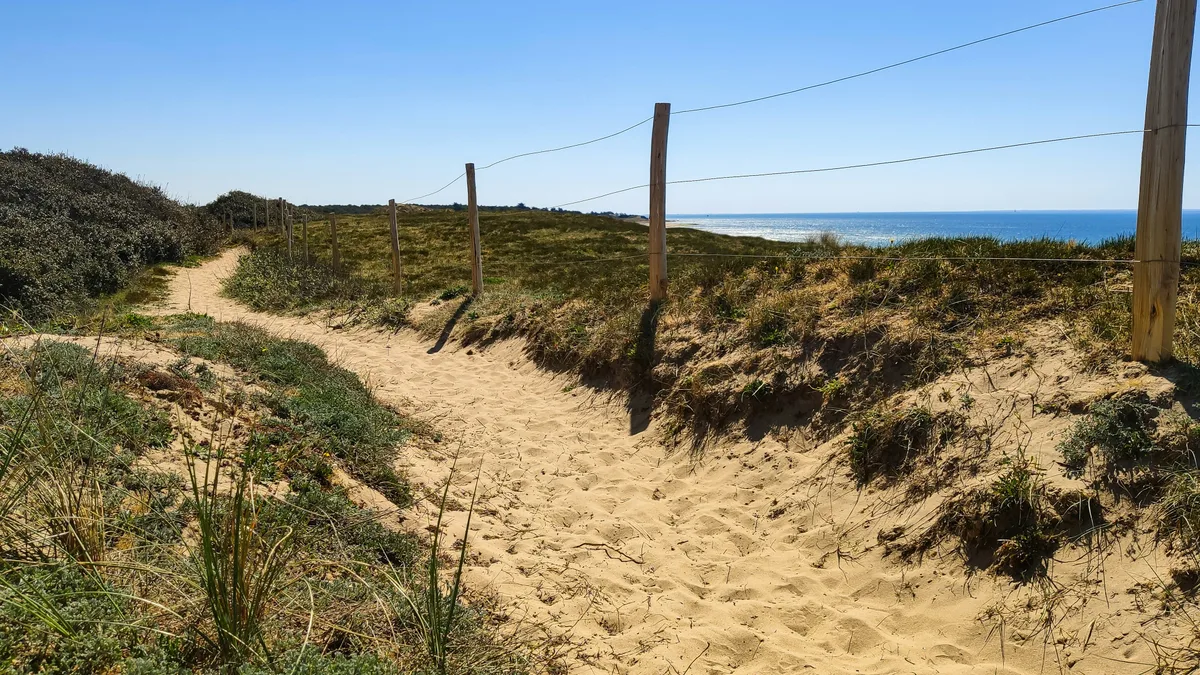 Plage des Anneries, La Couarde-sur-Mer, Nouvelle-Aquitaine, France — 6