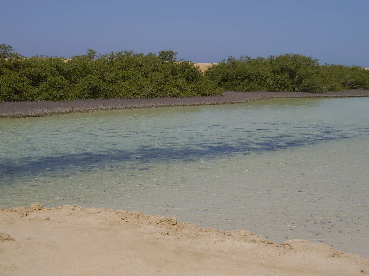 Ras Muhammad-Strand, Ras Mohammed National Park, South Sinai, Ägypten — 4