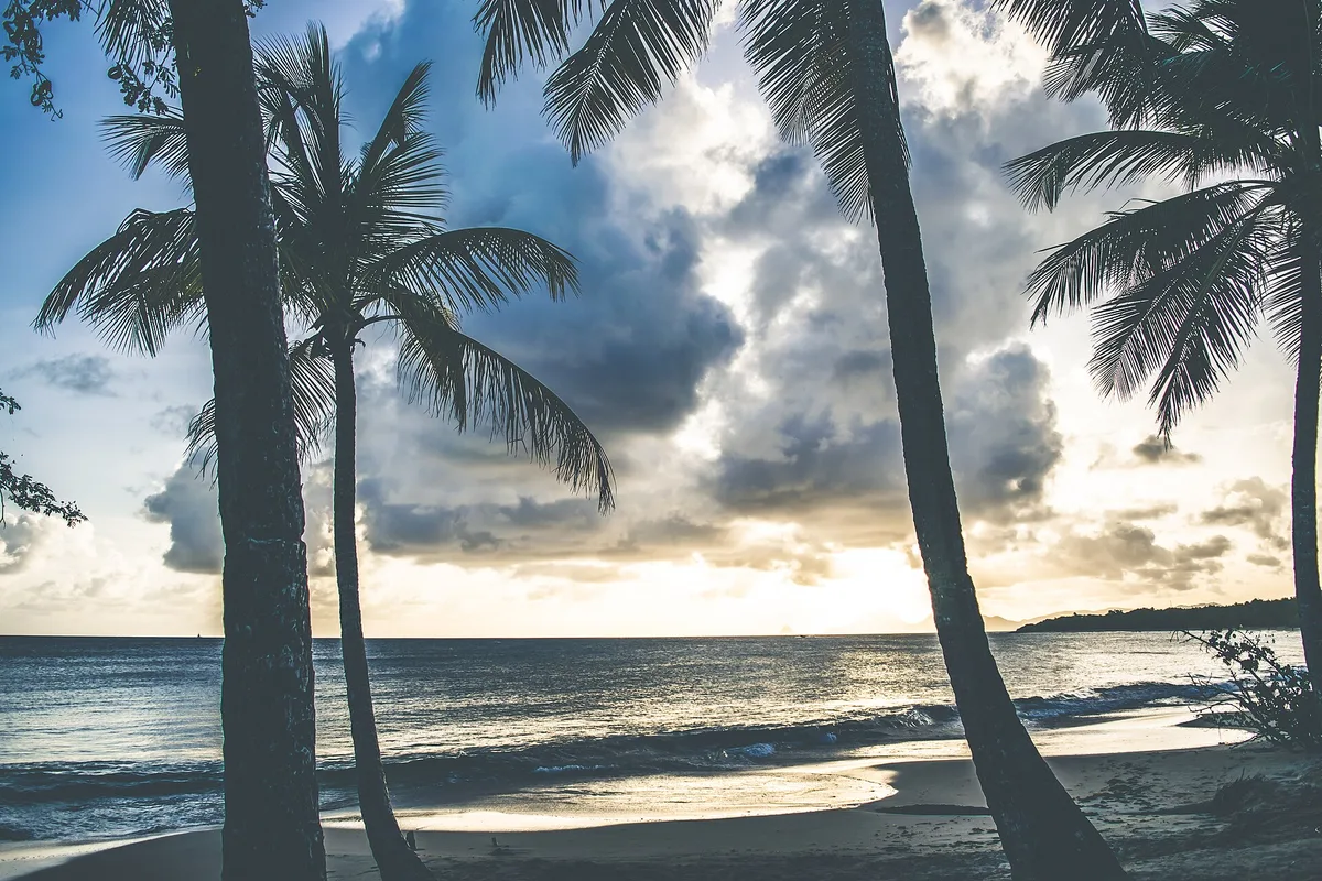 Playa de las Salines, Sainte-Anne, Martinique, Francia — 5