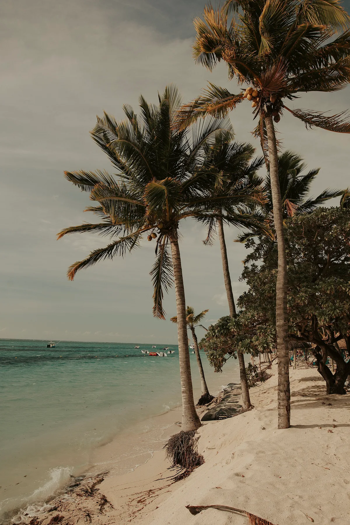 Plage de Pointe aux Piments, Pamplemousses, Mascarene Islands, Maurice — 3