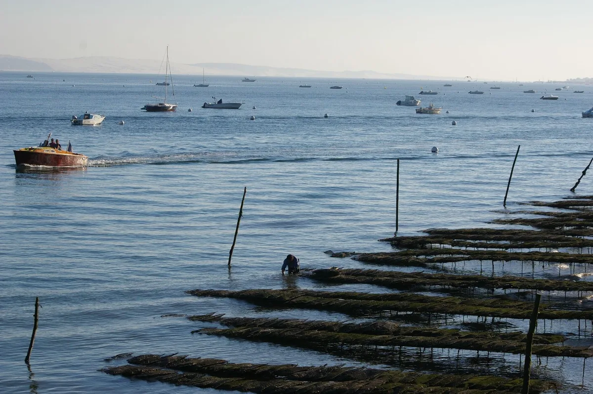 Plage de l'Herbe, Lège-Cap-Ferret, Nouvelle-Aquitaine, France — 2