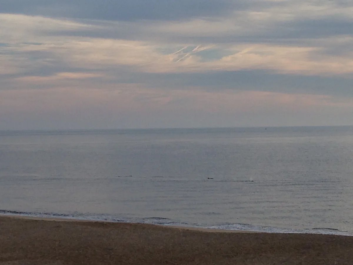 Herring Point Beach, Lewes, Mid-Atlantic Coast, United States — 4