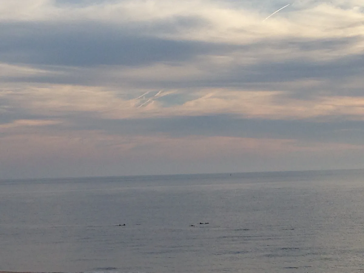 Herring Point Beach, Lewes, Mid-Atlantic Coast, United States — 3