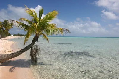 Praia Pública de Rangiroa, Rangiroa, Polynésie française, França — 6