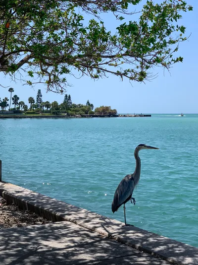 St. Pete Beach