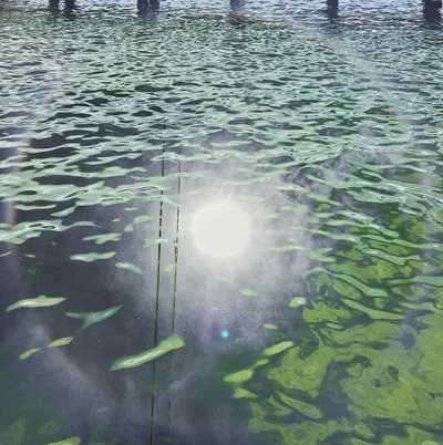 St. Pete Beach, St. Pete Beach, Florida Gulf, United States — 2