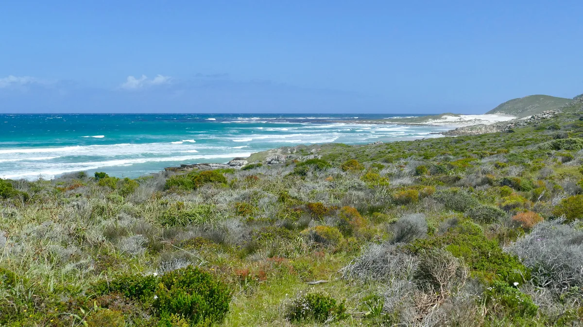 Platboom Beach, City of Cape Town, Western Cape, Sudafrica — 6