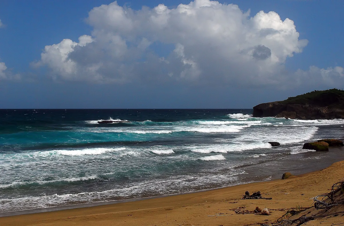 Plage de Jobos, Isabela, Greater Antilles, Puerto Rico — 4