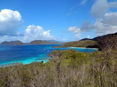 Hawksnest Beach