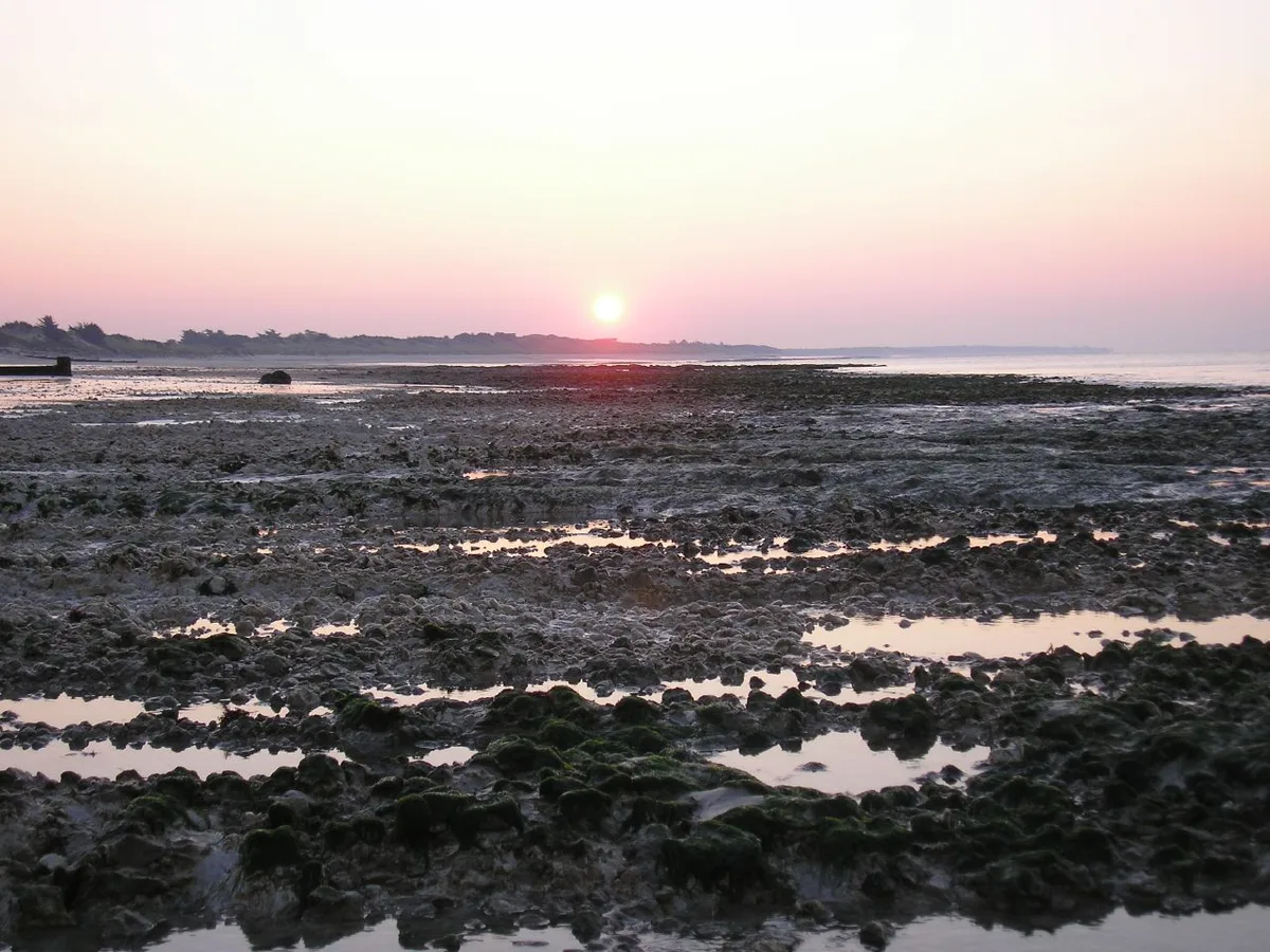 Plage du Peu Ragot, La Couarde-sur-Mer, Nouvelle-Aquitaine, France — 4