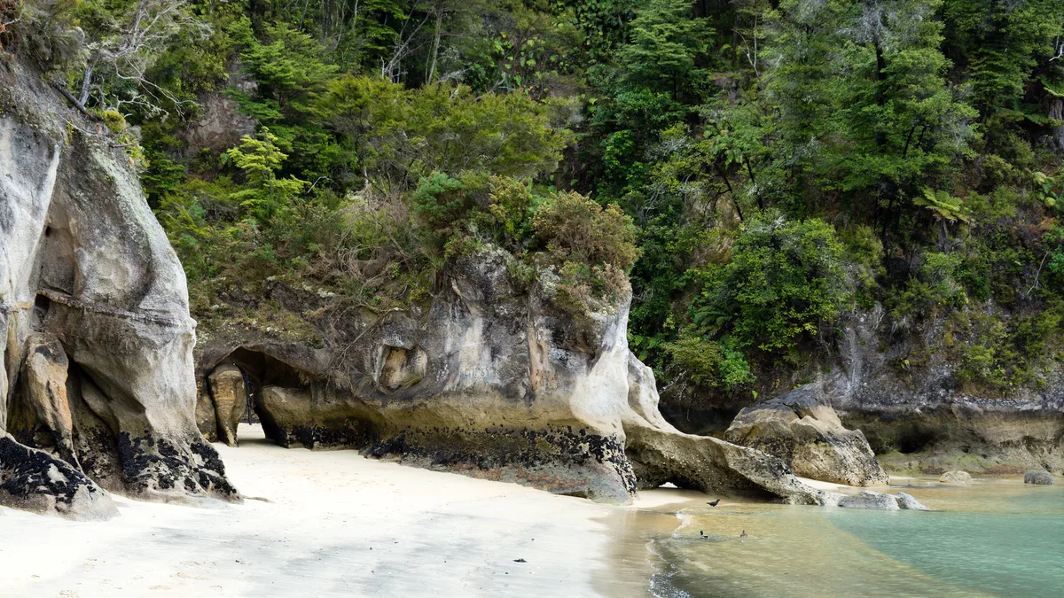 Playa de Anchorage, Tasman District, Nelson-Tasman, Nueva Zelanda — 4