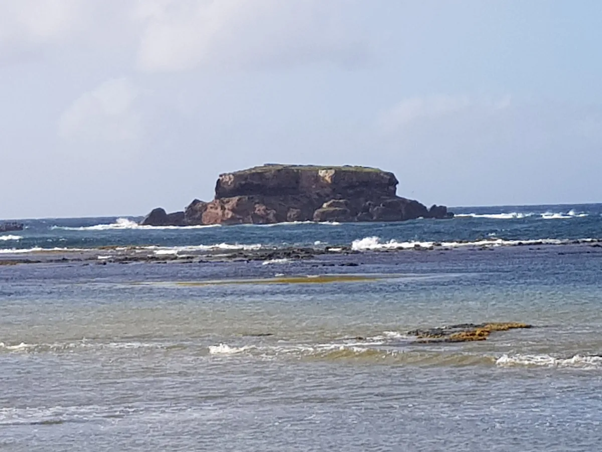 Playa Anse à Prunes, Sainte-Anne, Martinique, Francia — 4