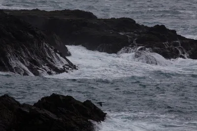 Plage d'État de Mendocino Headlands