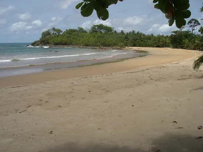 Busua Beach