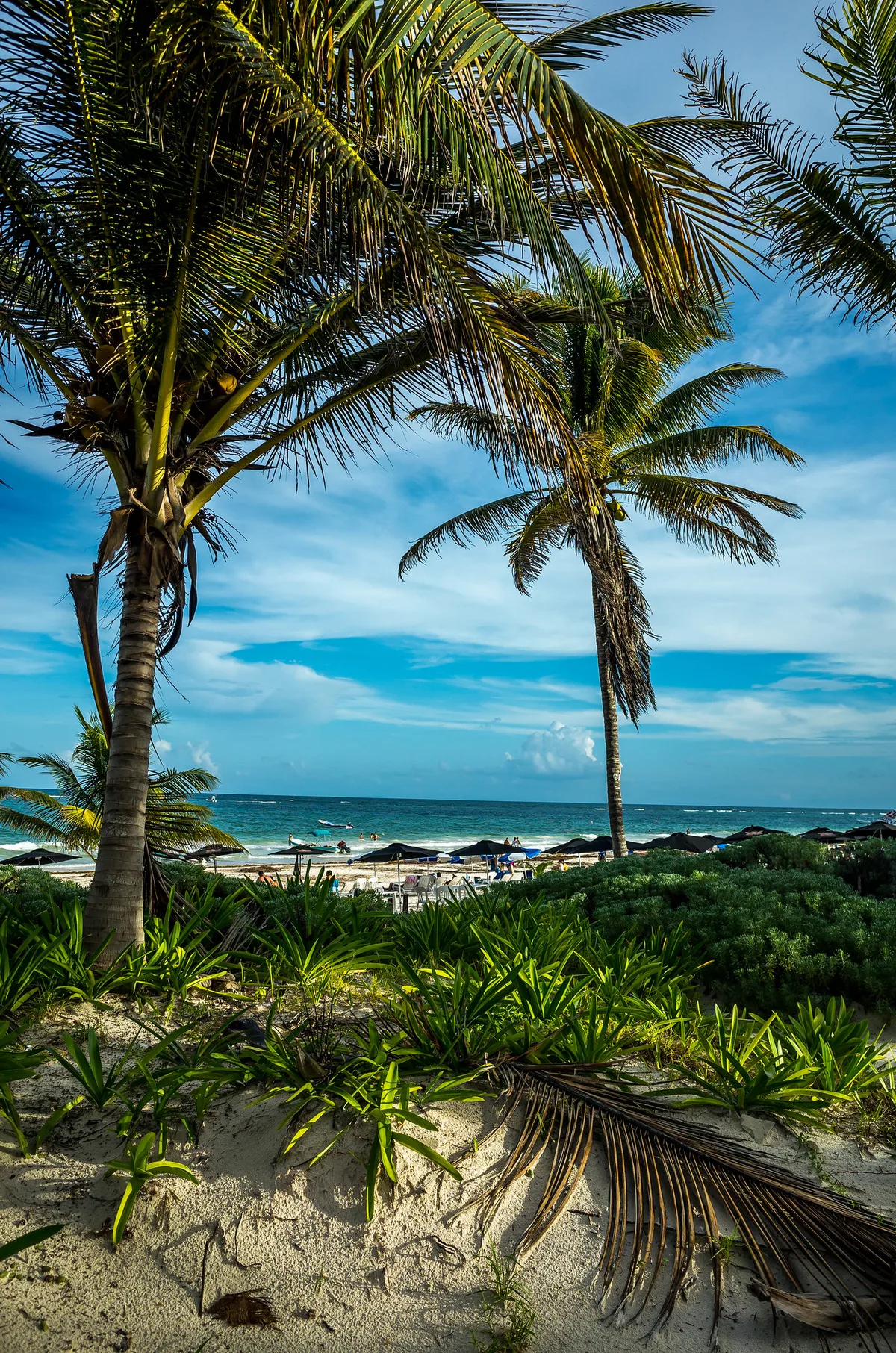 Playa Pescadores, Tulum, Yucatan Caribbean, México — 6