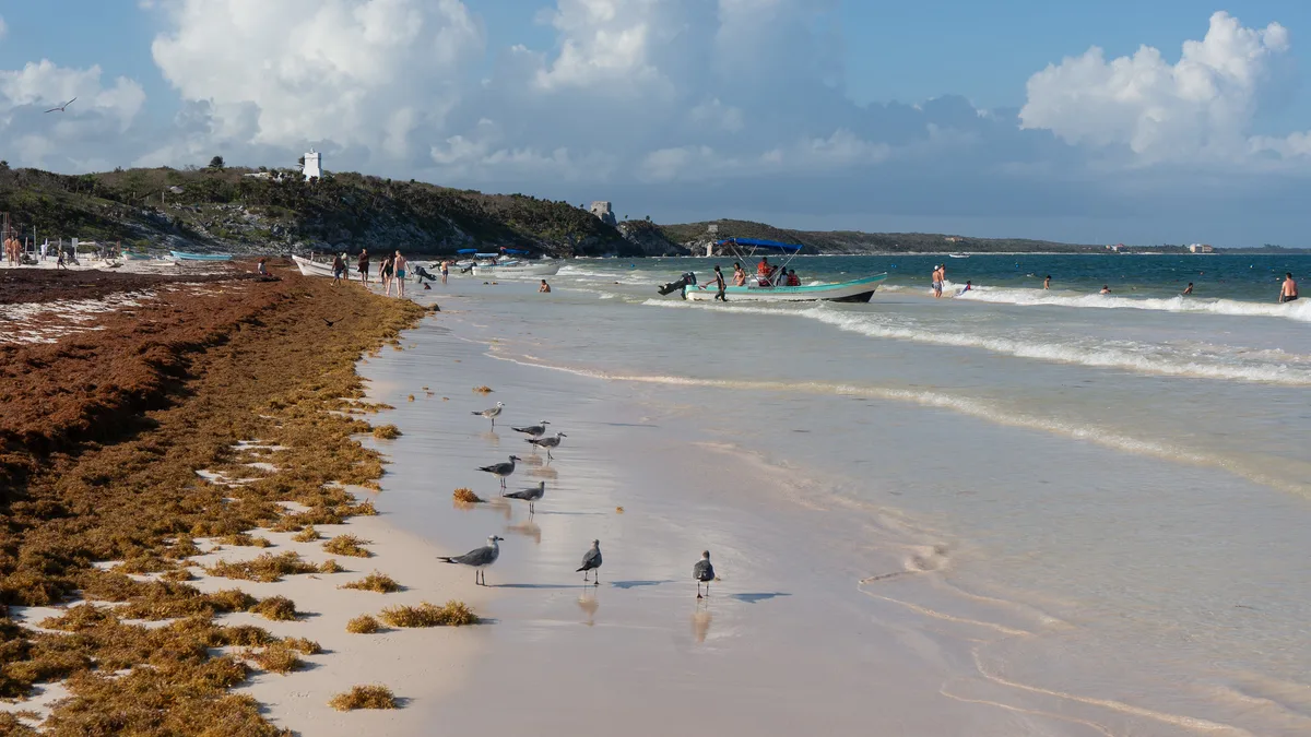 Playa Pescadores, Tulum, Yucatan Caribbean, México — 5