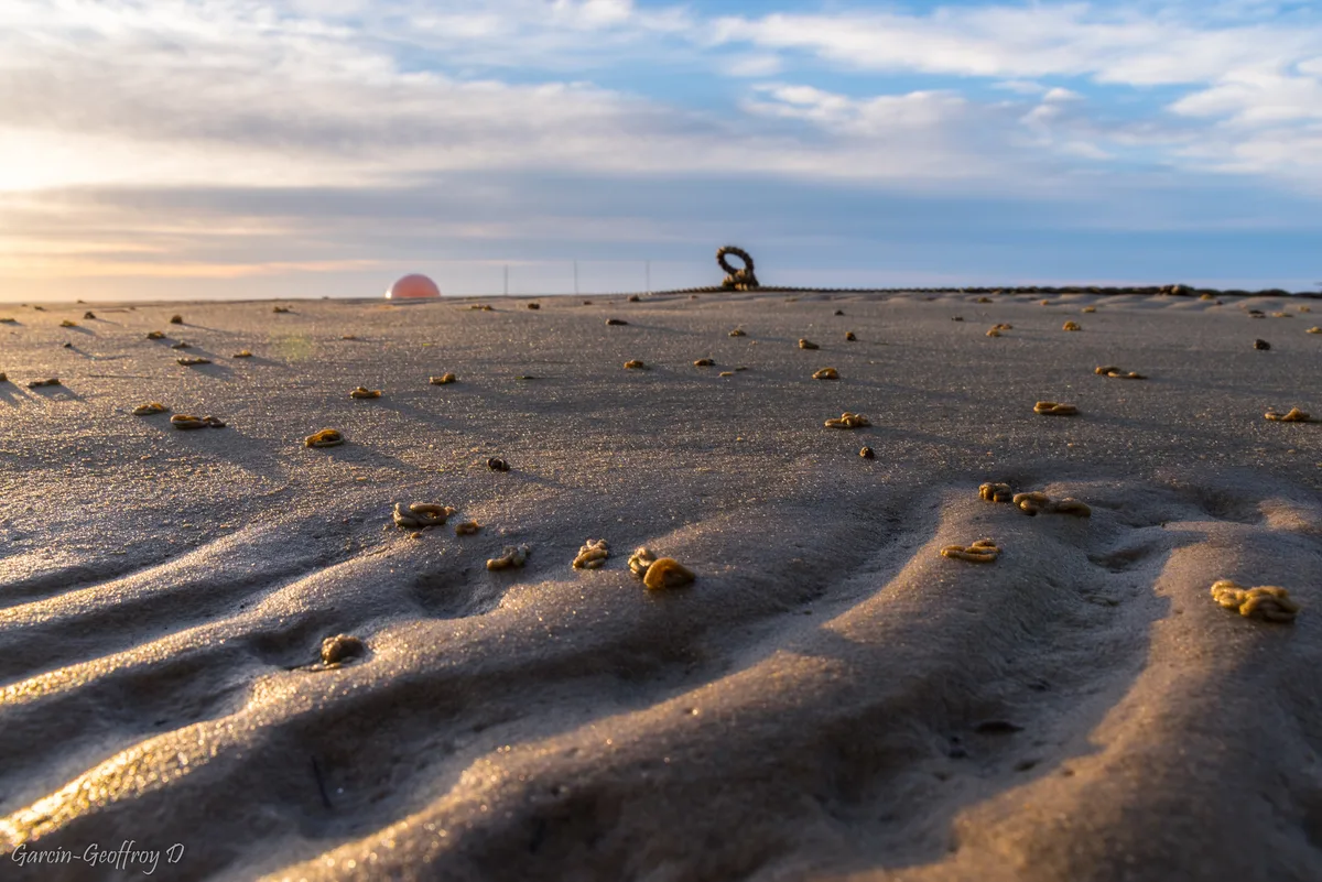 Jacquets-Strand, Lège-Cap-Ferret, Nouvelle-Aquitaine, Frankreich — 4