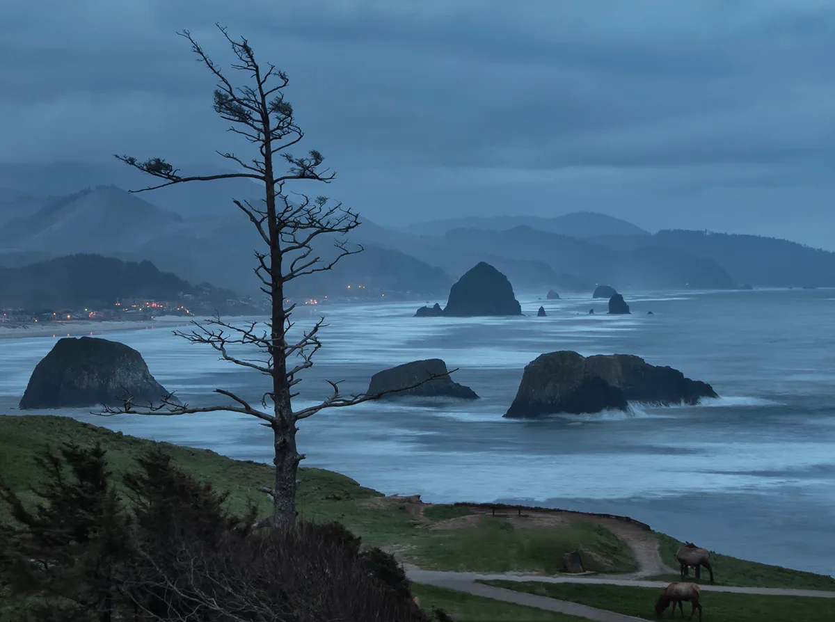 Crescent Beach, Cannon Beach, Pacific Northwest, Estados Unidos — 6