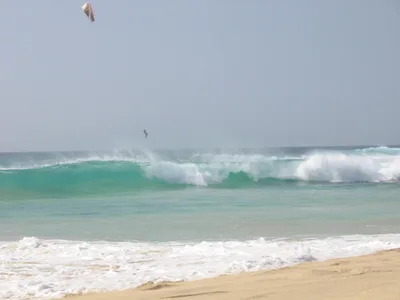 Plage de Ponta do Sapal