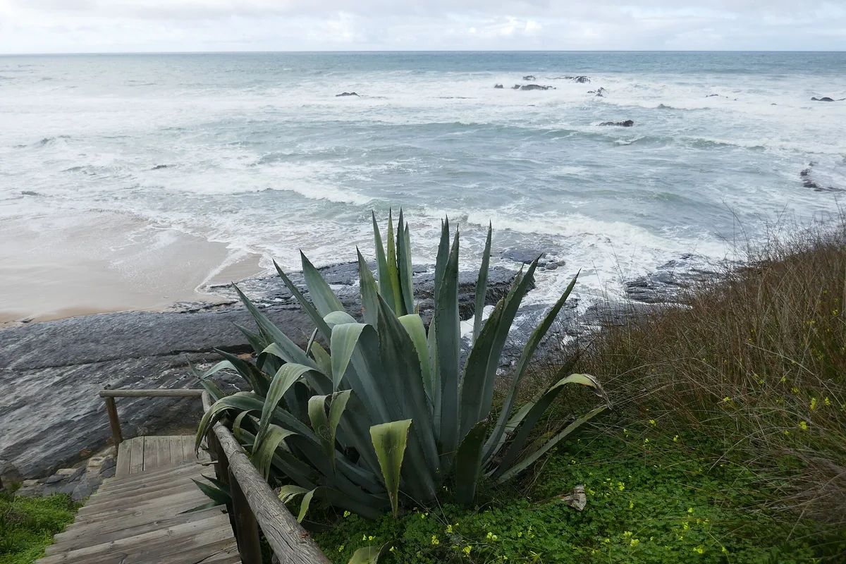 Plage de Carriagem, Aljezur, Alentejo Coast, Portugal — 3