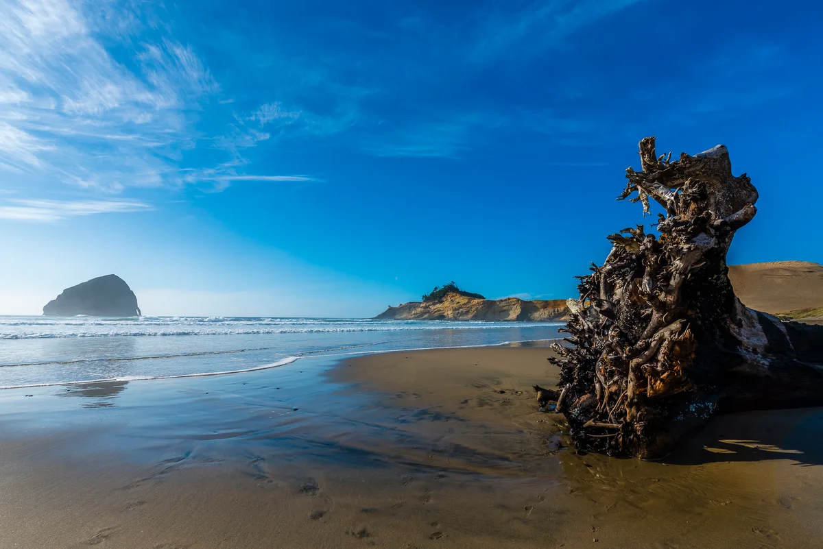 Cape Kiwanda State Natural Area, Pacific City, Pacific Northwest, Vereinigte Staaten — 6