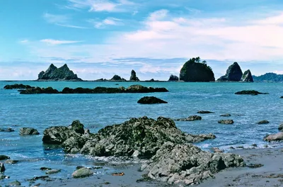 Playa de Toleak Point, Jefferson County, Pacific Northwest, Estados Unidos — 3