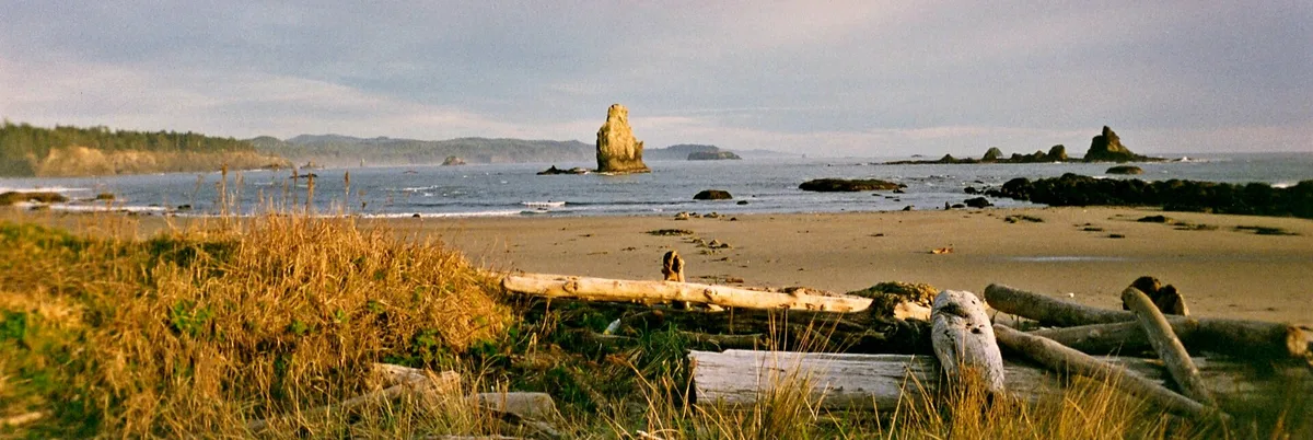 Playa de Toleak Point, Jefferson County, Pacific Northwest, Estados Unidos — 4